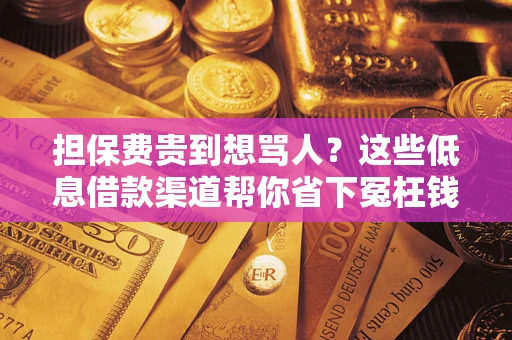 武汉担保费贵到想骂人？这些低息借款渠道帮你省下冤枉钱