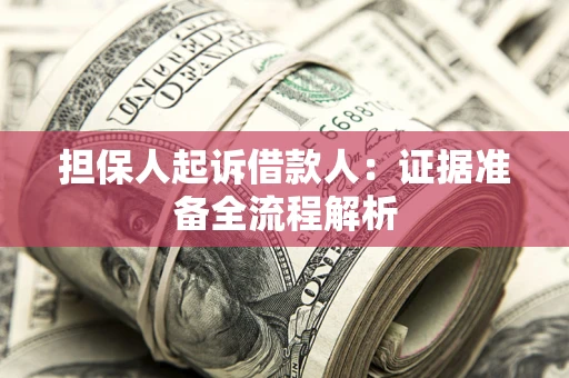 武汉担保人起诉借款人：证据准备全流程解析