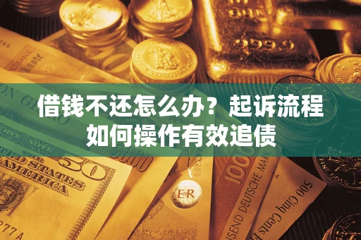 武汉借钱不还怎么办？起诉流程如何操作有效追债