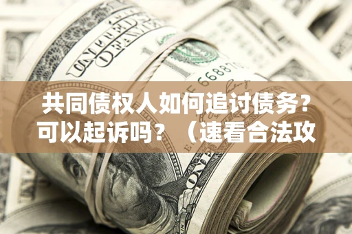 武汉共同债权人如何追讨债务？可以起诉吗？（速看合法攻略）