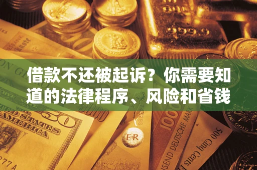 武汉借款不还被起诉？你需要知道的法律程序、风险和省钱技巧