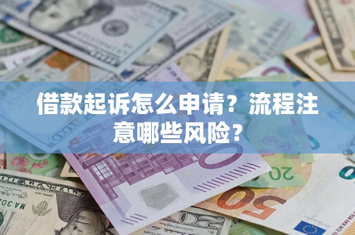武汉借款起诉怎么申请？流程注意哪些风险？