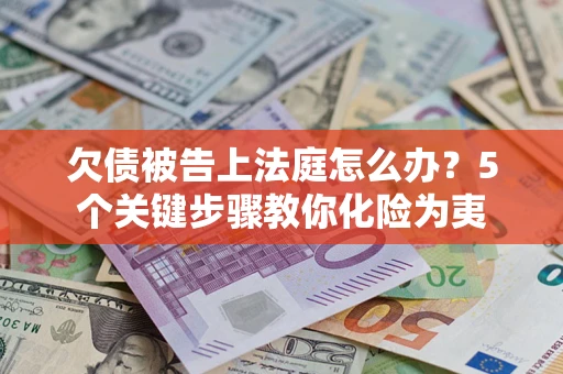 武汉欠债被告上法庭怎么办？5个关键步骤教你化险为夷